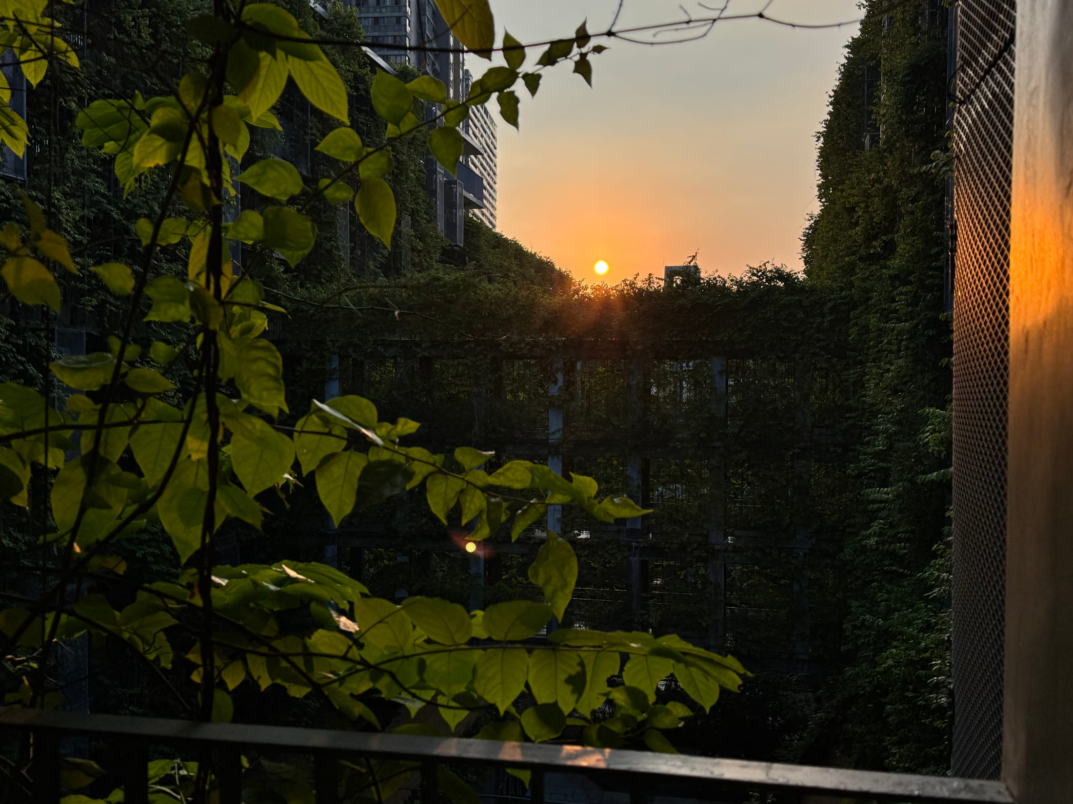 SCIE opens in Shuiwei