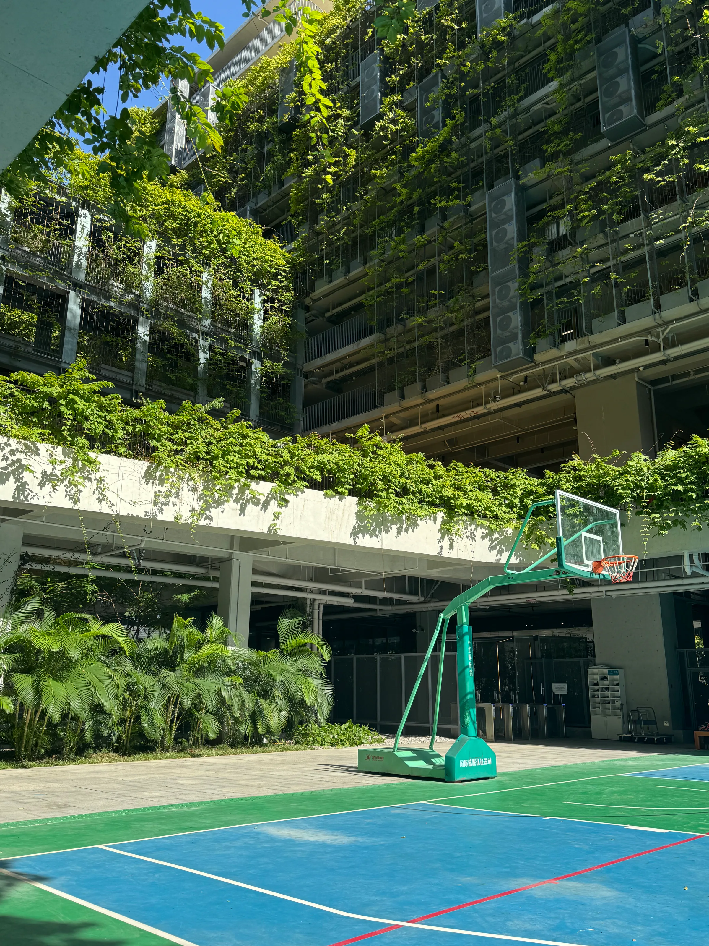 Court and walkway