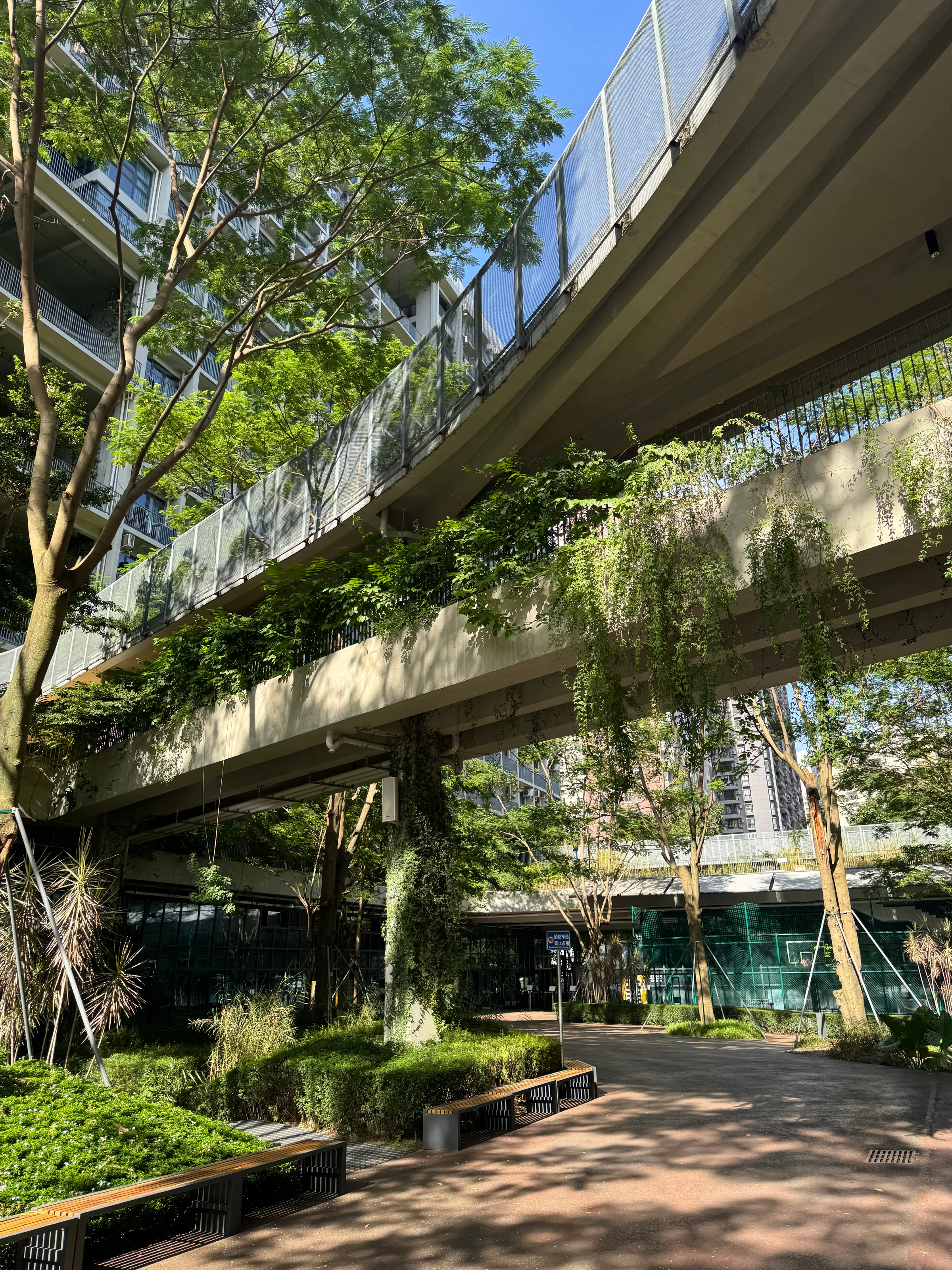 An elevated campus walkway rising through the trees