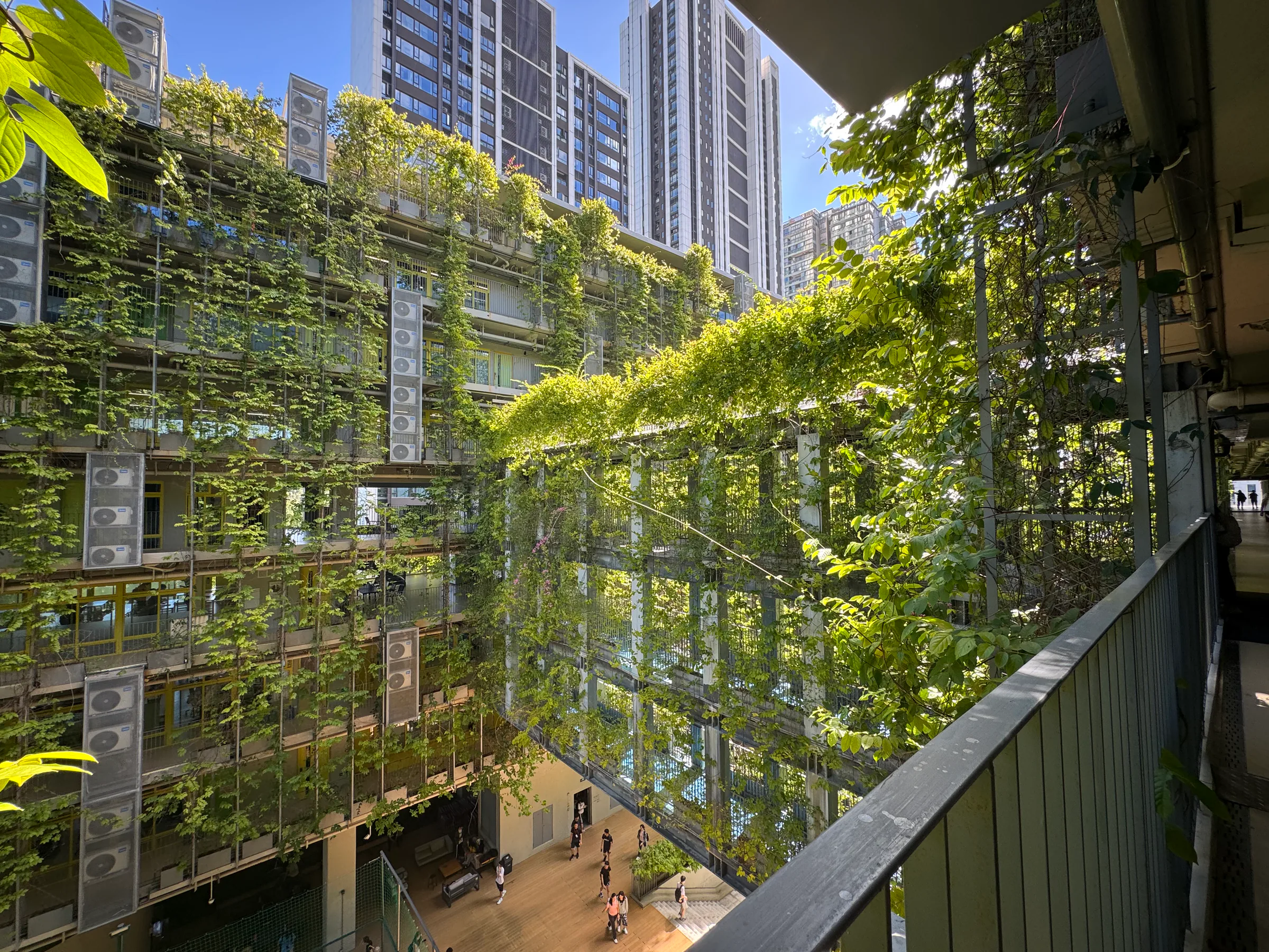 Through a green corridor