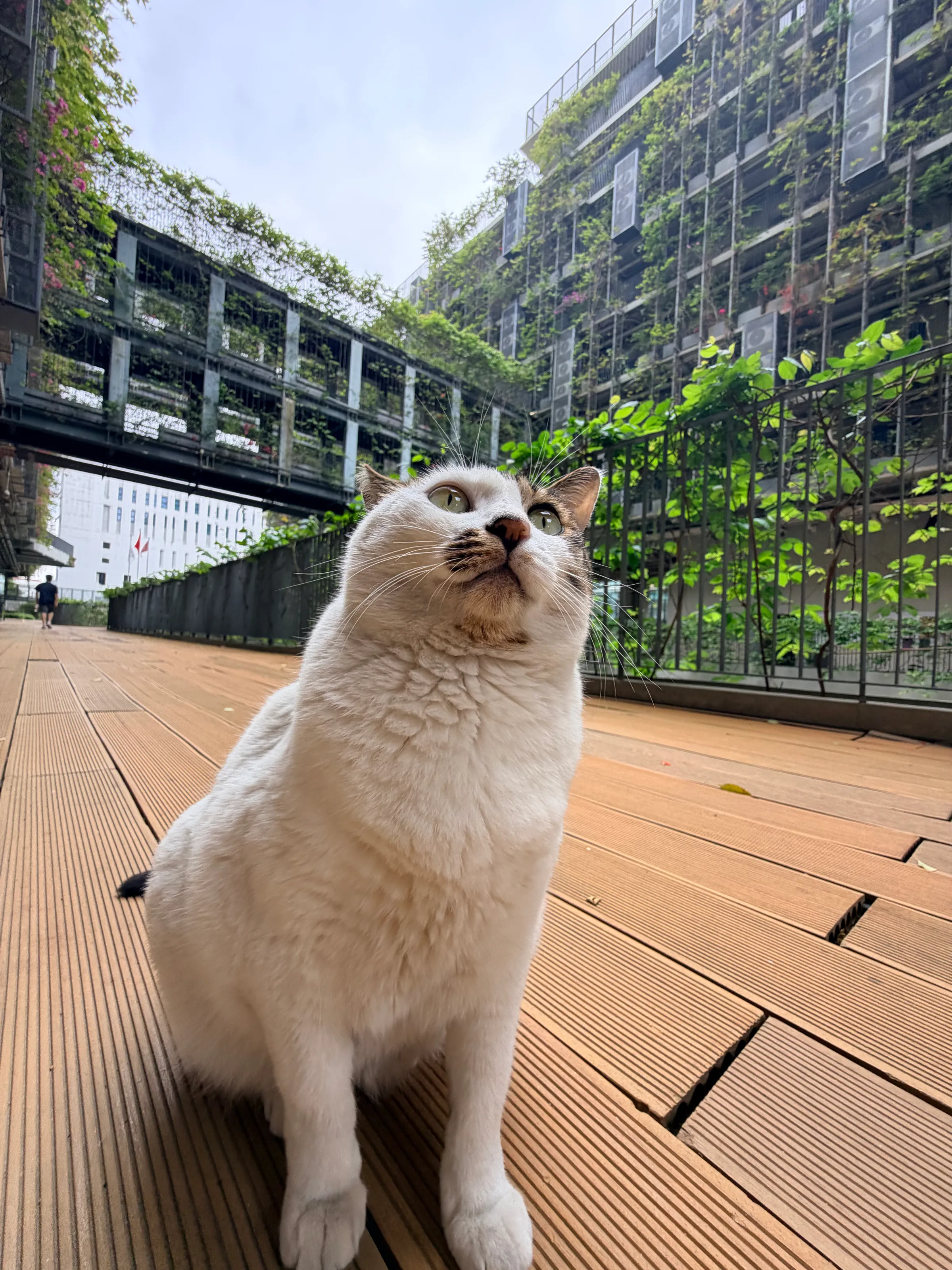 A campus companion