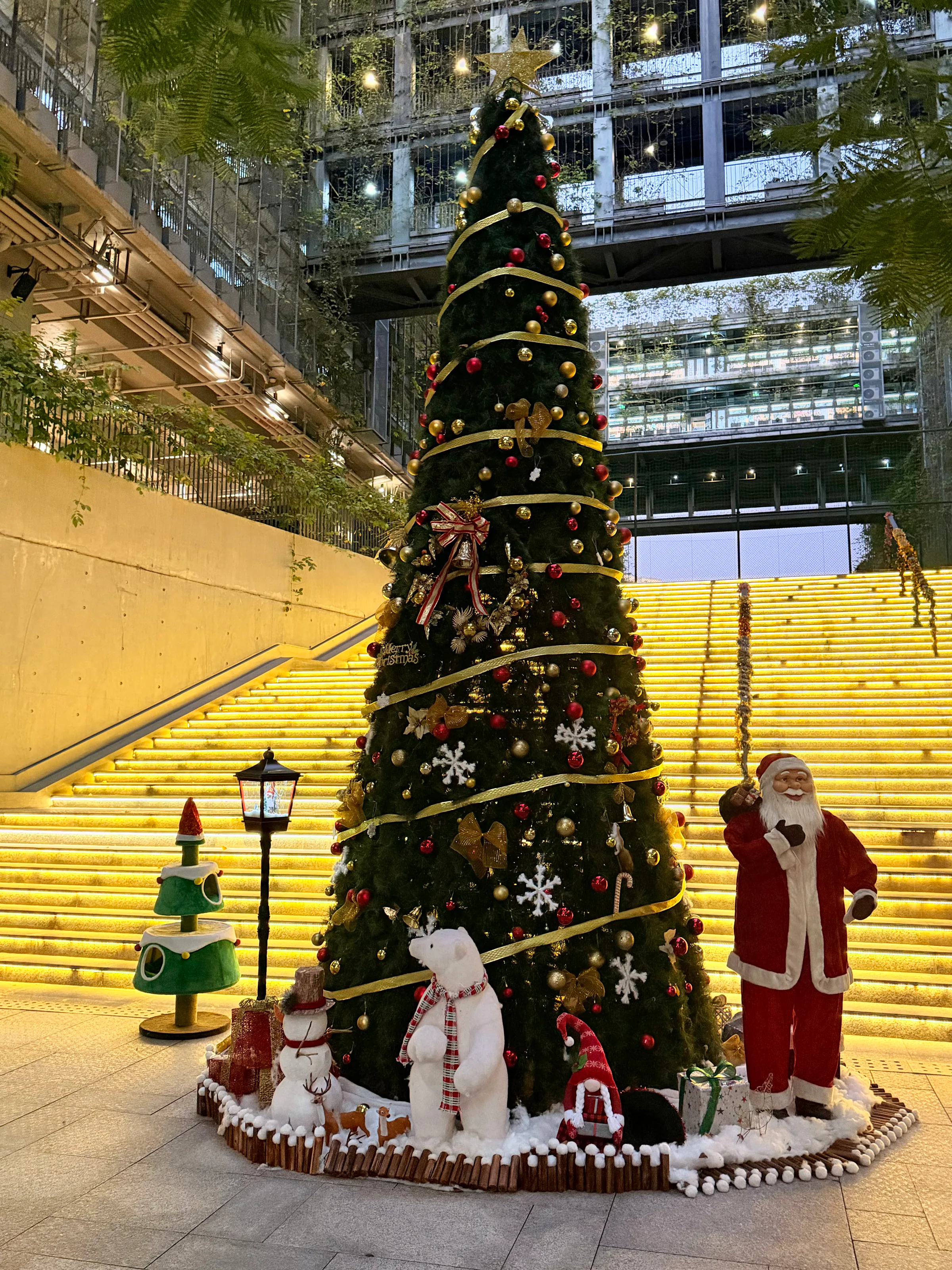 A festive campus