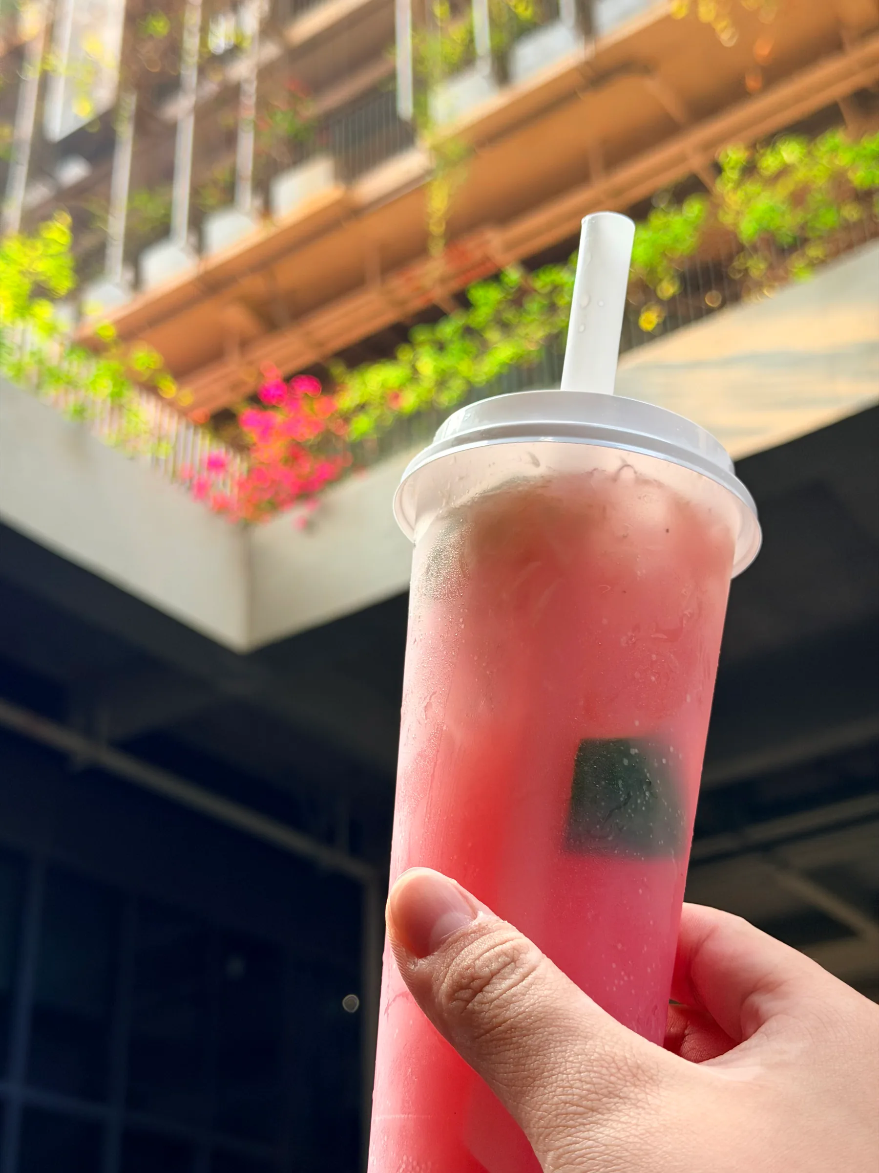 A hand holding pink milk tea with the campus in the background