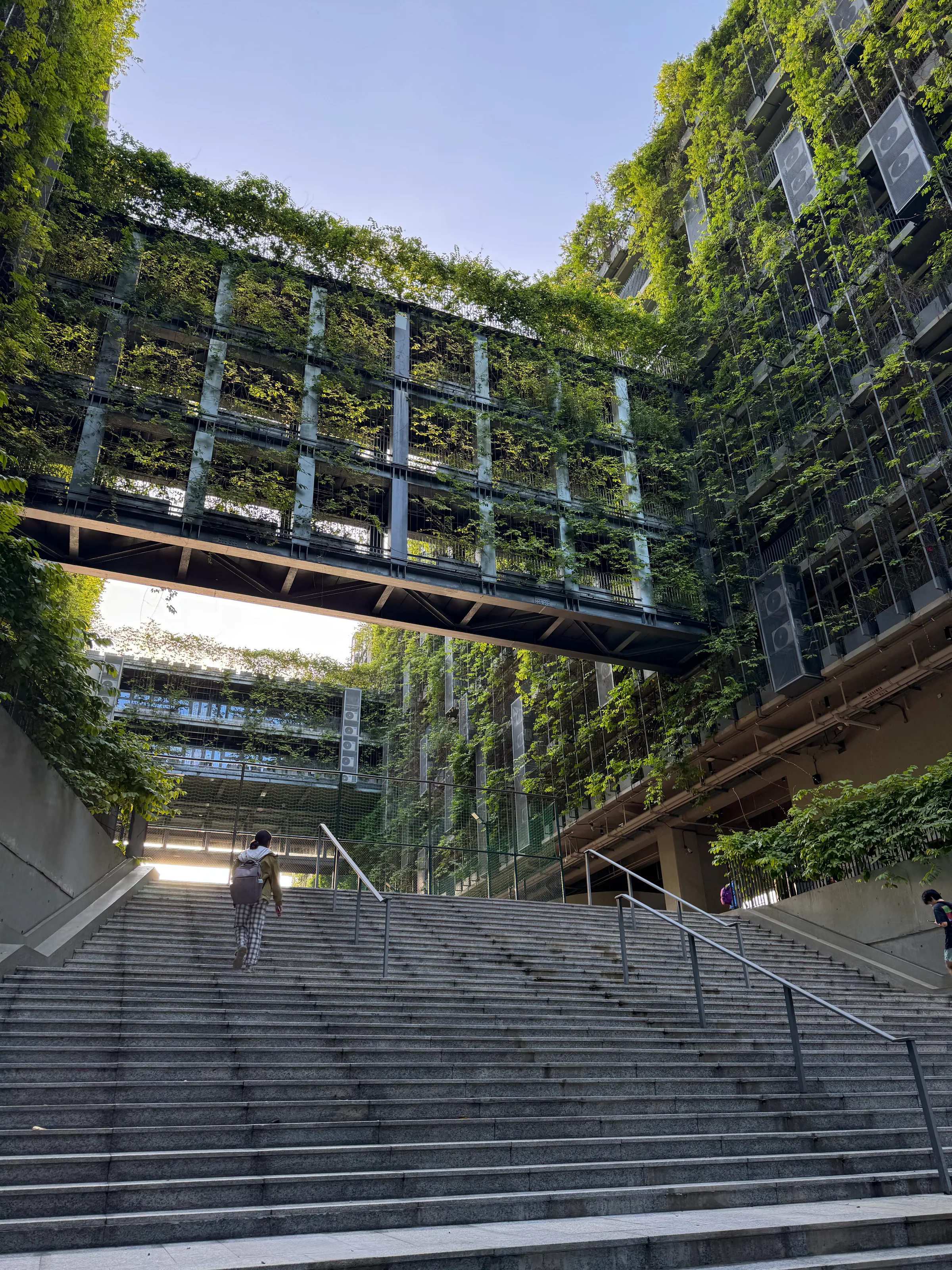 The Starlight Avenue steps and elevated walkway